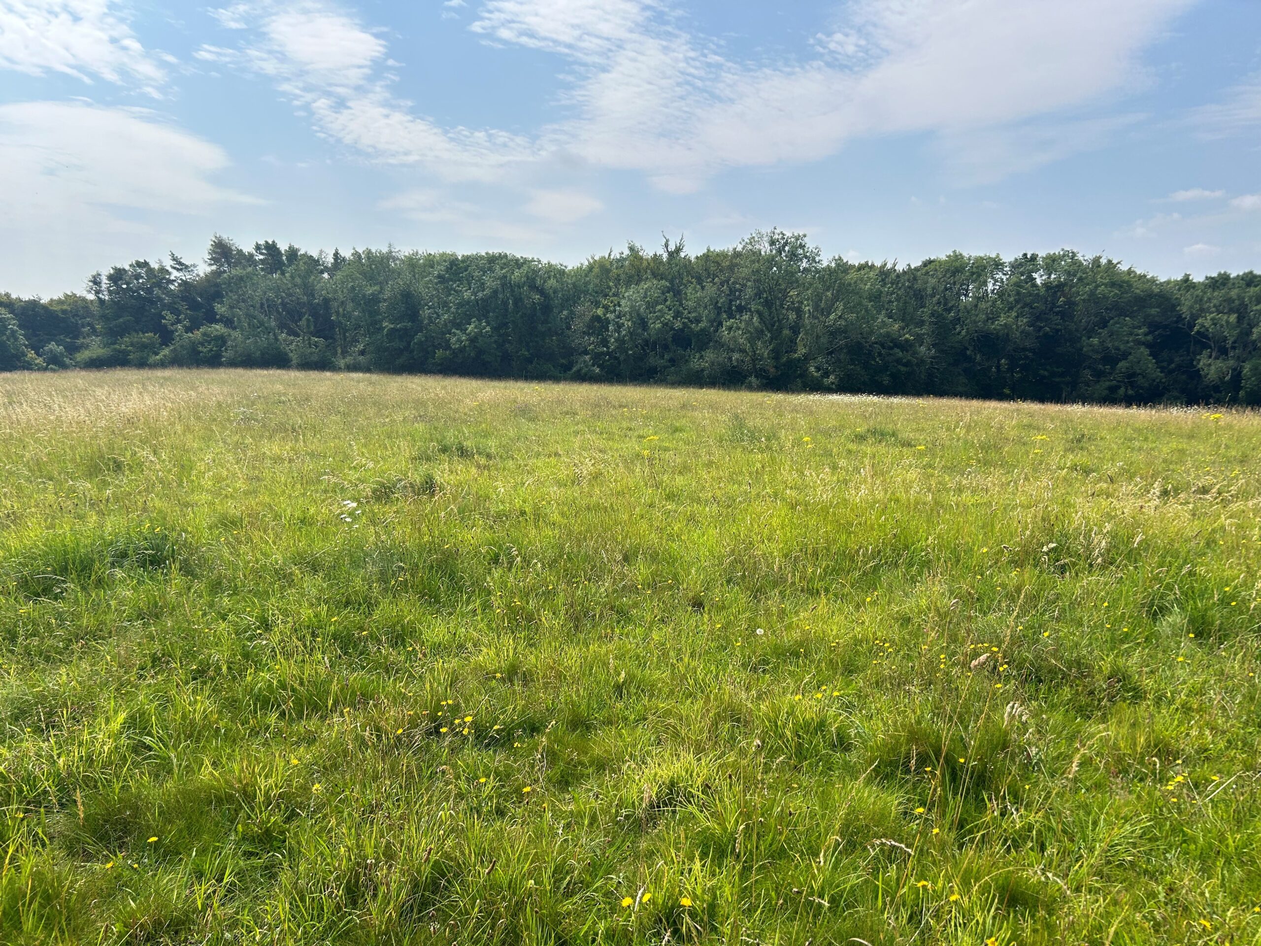 Land Opposite Beechgrove Farm, Quarhouse Lane, Brimscombe, Gloucestershire, GL6 7LS