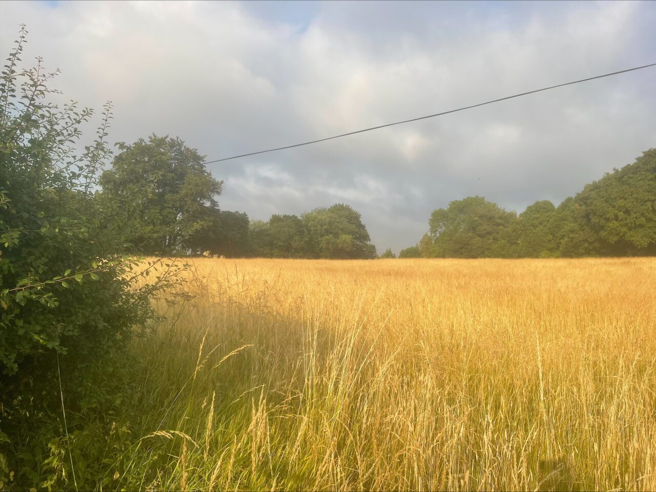 Land At Rendcomb, Cirencester, Gloucestershire, GL7
