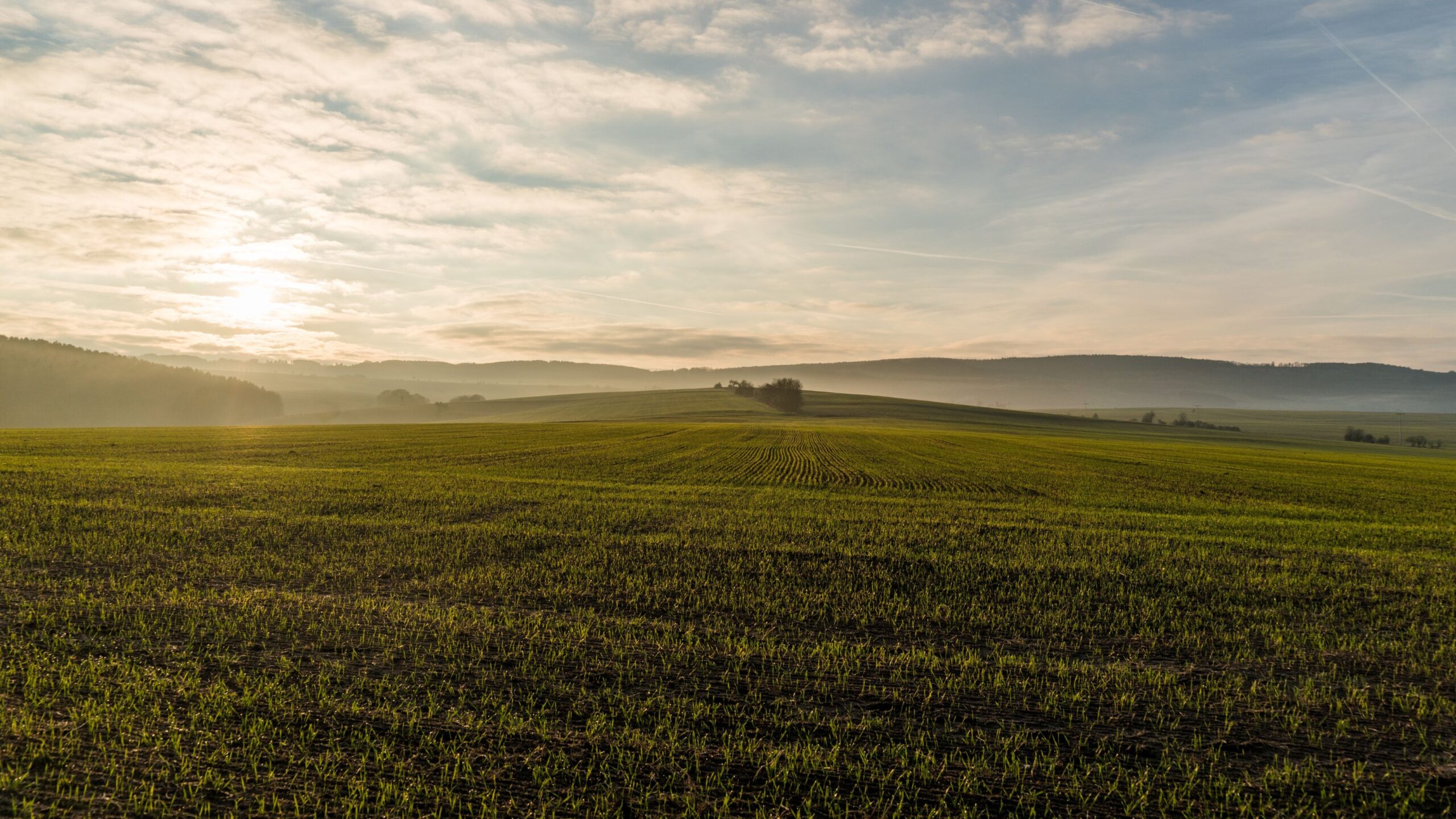 Farmers Urged to Act Now as SFI Application Deadline Looms