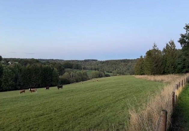 Juniper Slad Hayhedge Lane, Bisley, Gloucestershire, GL6 7AN