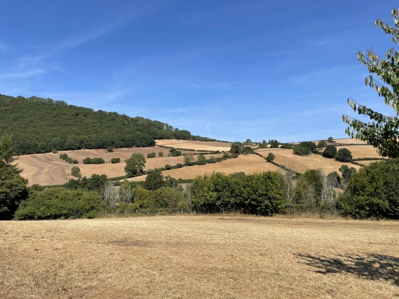 Land at Chapel Lawn, Bucknell, Shropshire, SY7 0BW