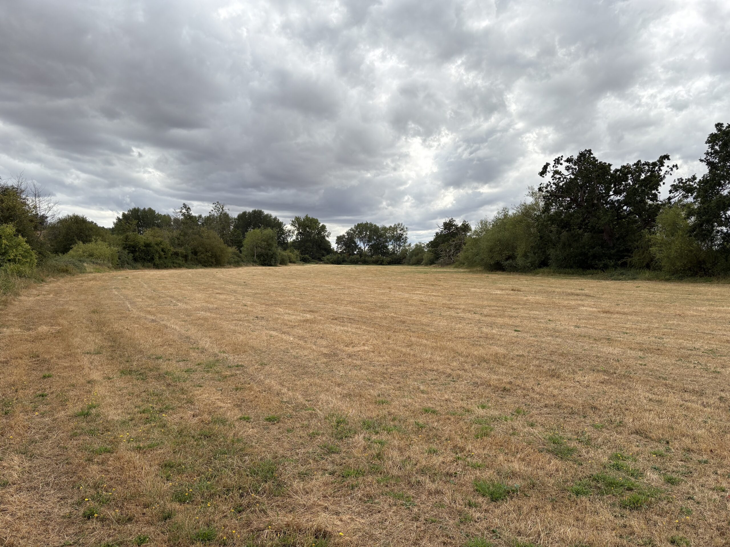 Lot 2 Land At Apperley Court, Apperley , Gloucester , GL19 4DH
